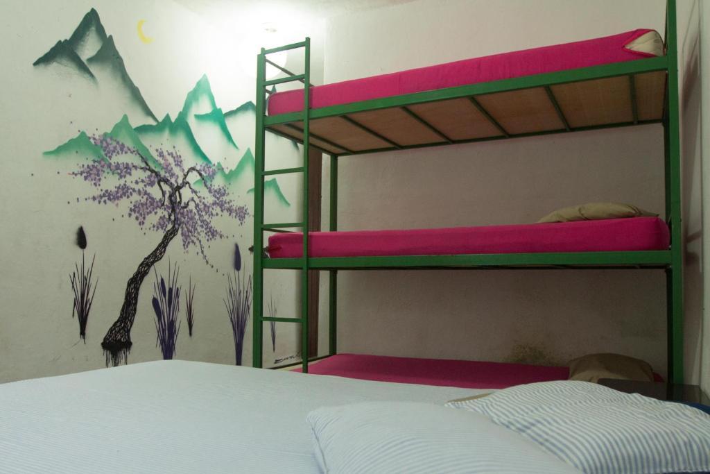 El Misti Hostel Ilha Grande Ilha Grande  Eksteriør bilde
