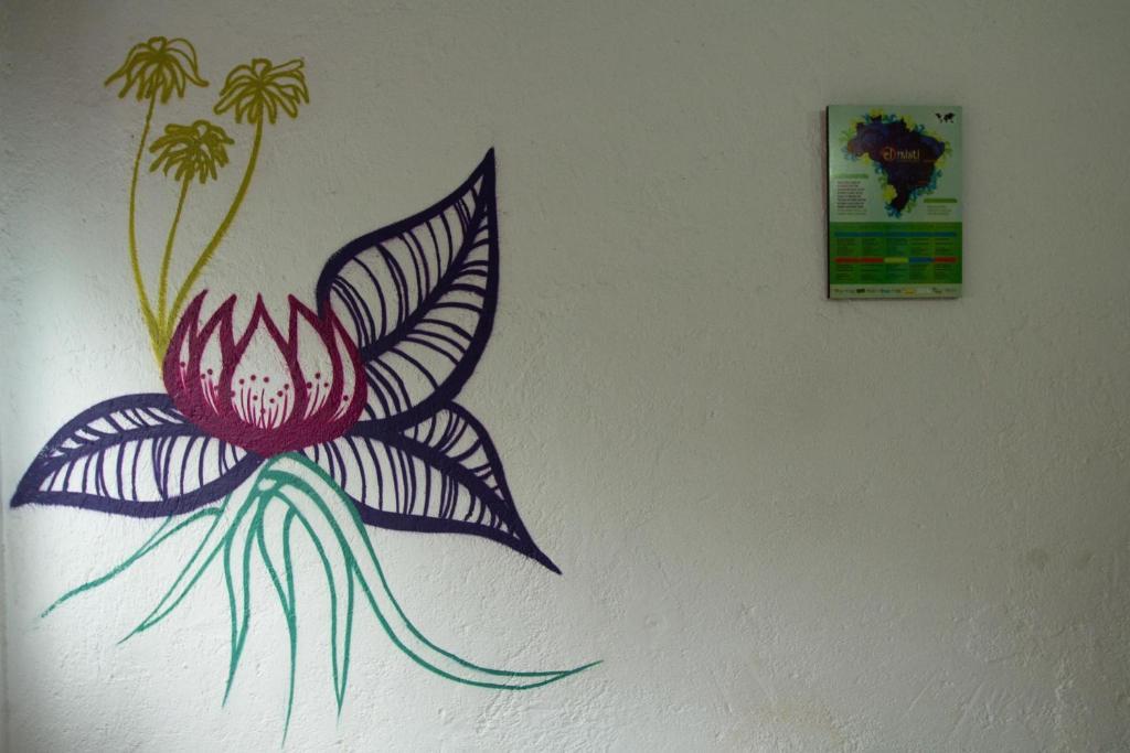 El Misti Hostel Ilha Grande Ilha Grande  Eksteriør bilde